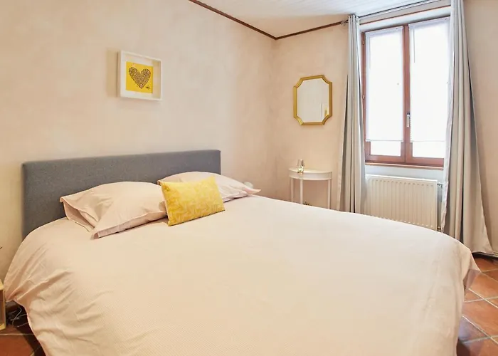 L'alsacien Artiste - Art - Moderne - Wifi - Netflix Mulhouse