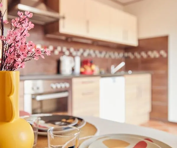 L'alsacien Artiste - Art - Moderne - Wifi - Netflix *