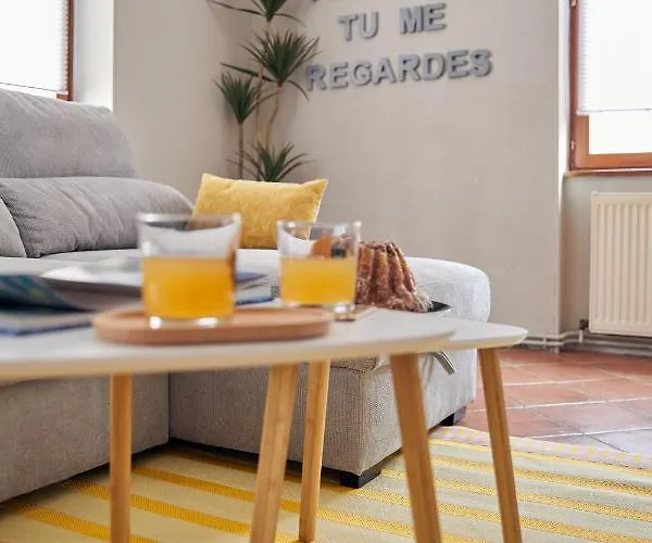 L'alsacien Artiste - Art - Moderne - Wifi - Netflix